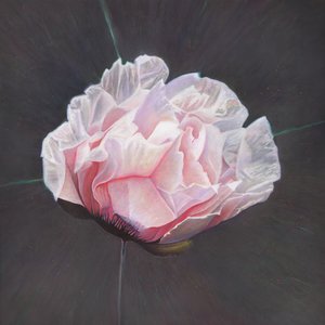 Emergencia, 2015